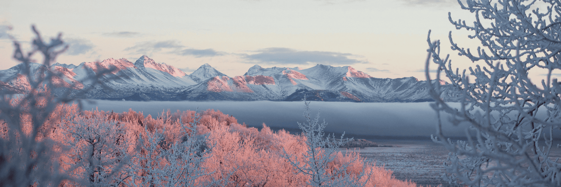 Preventive Dentistry | Dentist