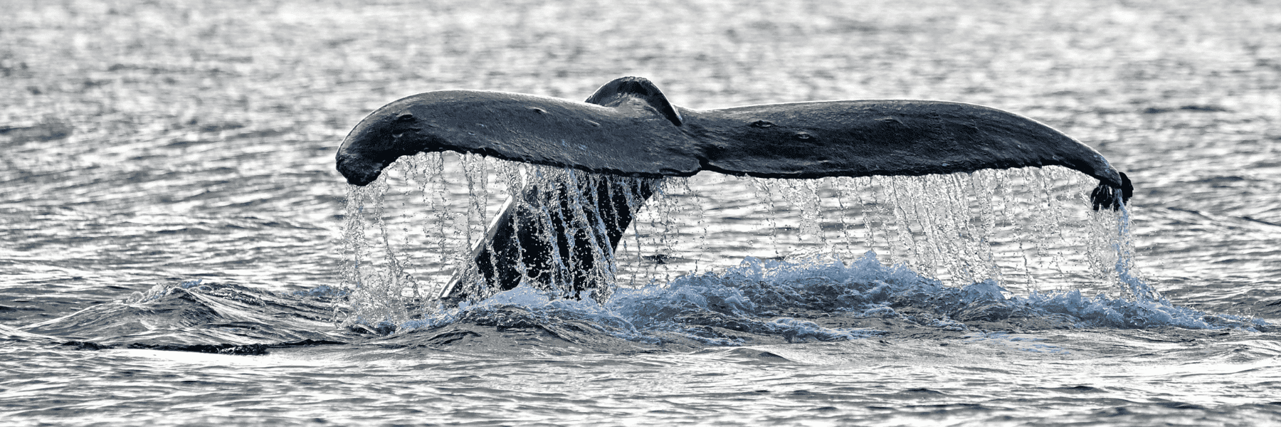 Smile Makeovers | Dentist